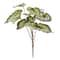 12 Pack: Green & Black Begonia Leaves Bush by Ashland®